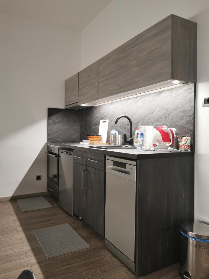 Apartman Pavlovic 1 Dedinje Exteriör bild